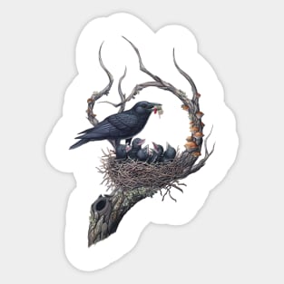 American Crow Tee Sticker